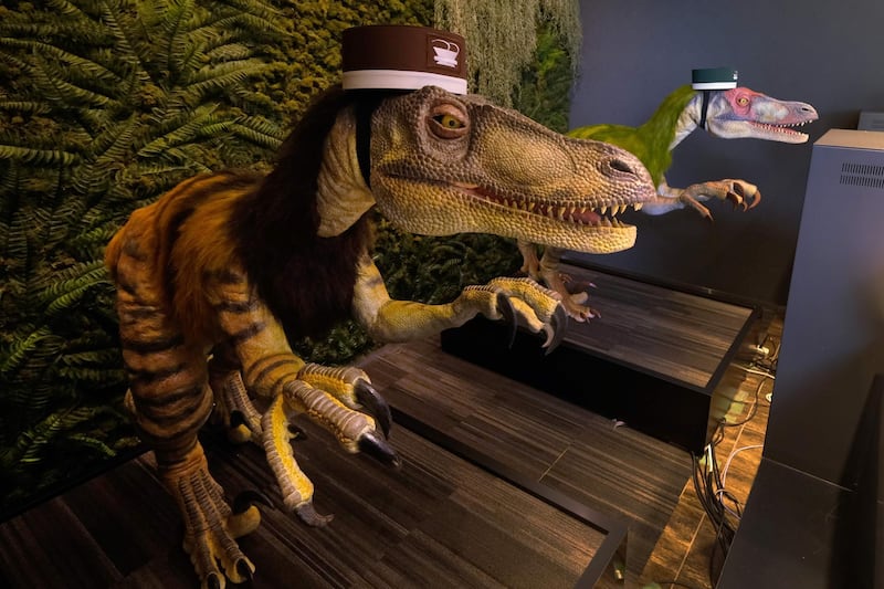 A pair of robot dinosaurs wearing bellboy hats welcome guests from the front desk at the Henn-na Hotel.  AFP