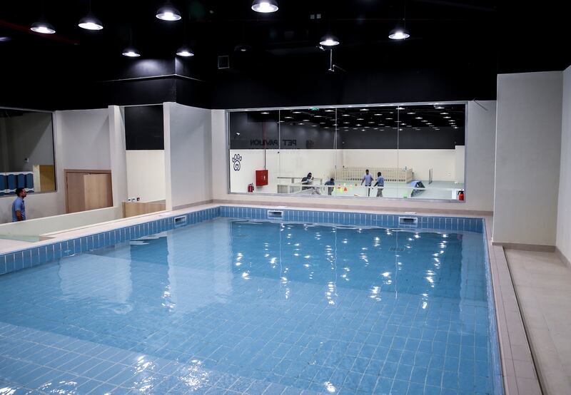 The 9x6-metre pool is used for animal hydrotherapy 