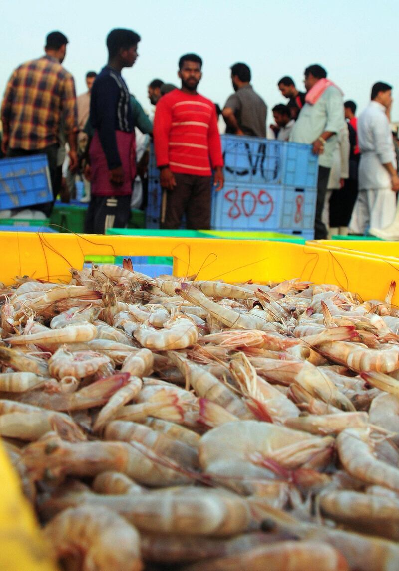 Saudi vendors sell shrimp at a seafood market in Dammam August 4, 2009.   REUTERS/Stringer   (SAUDI ARABIA SOCIETY ANIMALS)