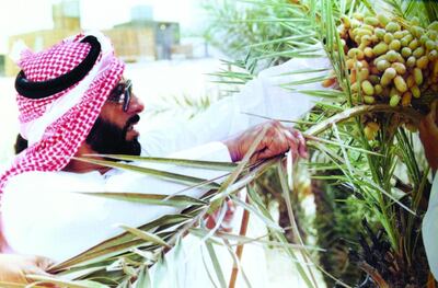 Sheikh Zayed laid the groundwork for a strong and prosperous Emirates. Photo: National Archives