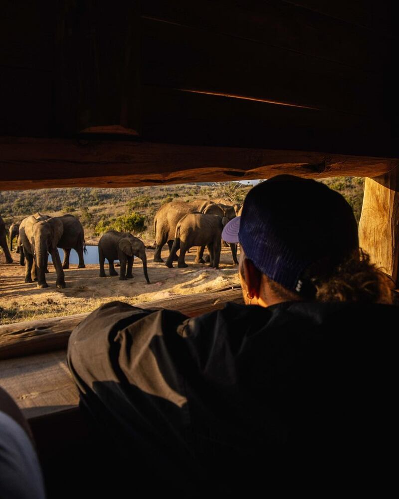 The sporting star watching elephants from a hide in Kenya.