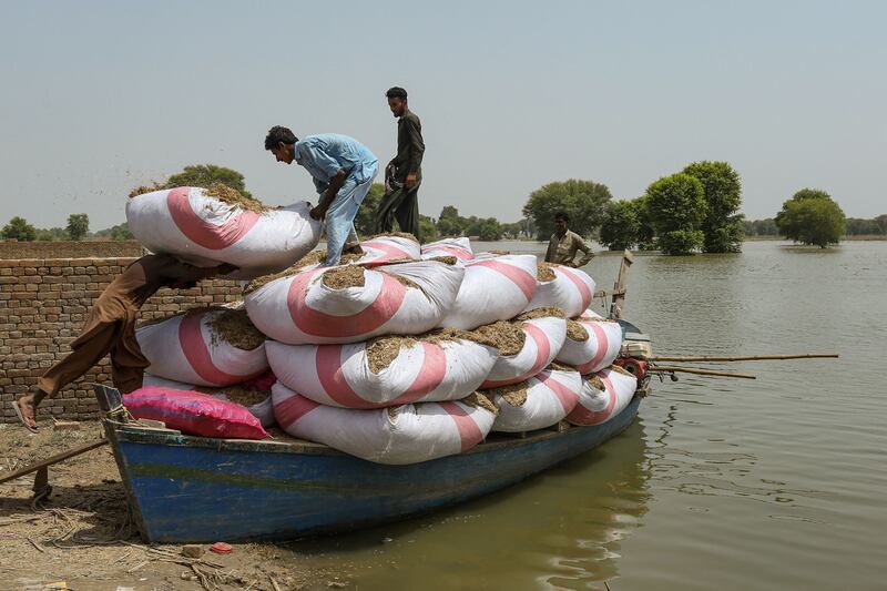 People transport cattle feed on a boat 