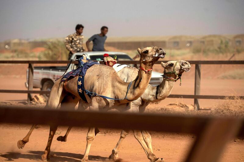 Sudanese youths watch a camel race from the back of a truck, at a track near al-Ikhlas village in the west of the city of Omdurman. The race is organised by traditionally camel-rearing tribal families from the village as a way to preserve and celebrate their heritage. AFP