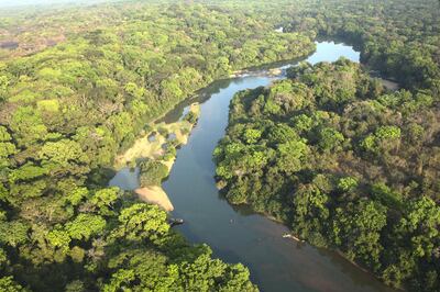 The Chinko reserve in the Central African Republic is almost twice the size of Yellowstone and is found in the wild and remote heart of the continent, near the borders of DR Congo and South Sudan. Here, the River Chinko winds through the south of this vast park, surrounded by lush tropical forest. In its waters are fish, crocodiles and hippo - all attractive targets for poachers who sneak into the reserve