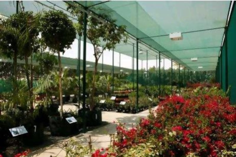 Pristine shade canopies, meticulous labelling and outstanding levels of plant care set Greenworks apart and will be a major draw for UAE gardeners. Photos by Antonie Robertson / The National