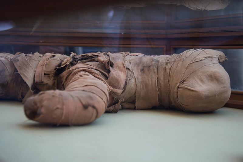 Radar scans are needed on three further mummies to determine if they were lions. EPA