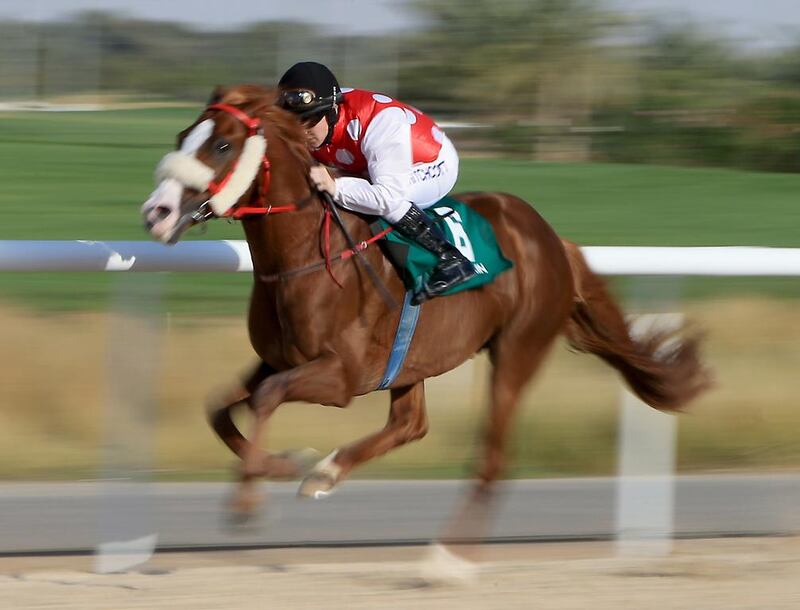Jockey Sam Hitchcott rides Callateral to victory in the Al Khobaisi race at the Al Ain Equestrian Club. Ravindranath K / The National