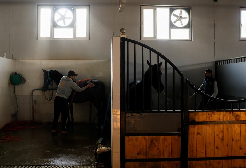 Workers clean the horses.