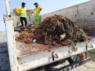 The waste, mostly fishing gear and plastic waste, clollected from Dara wreck. Courtesy Abdullah Al Balooshi