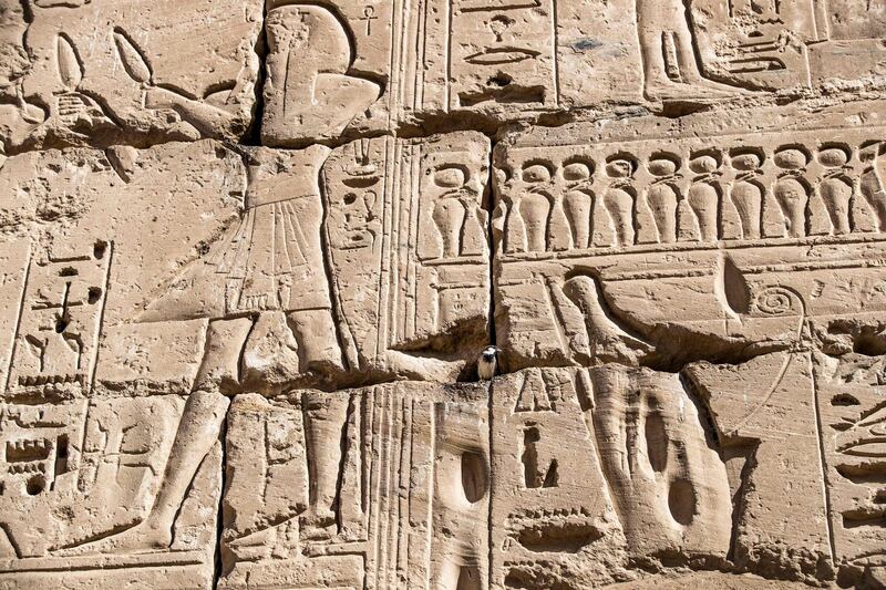 A wall adorned with reliefs at the Mortuary Temple of the 20th dynasty pharaoh  Ramesses III (1186-1155 BC) at Medinet Habu, near Egypt's southern city of Luxor. AFP