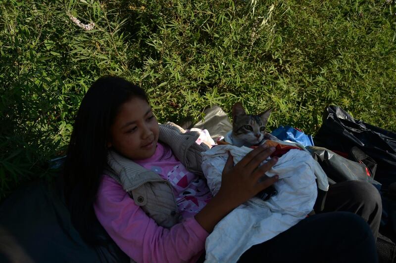 A girl holds her cat during a fire in the Moria refugee camp on the northeastern Aegean island of Lesbos, Greece. AP Photo