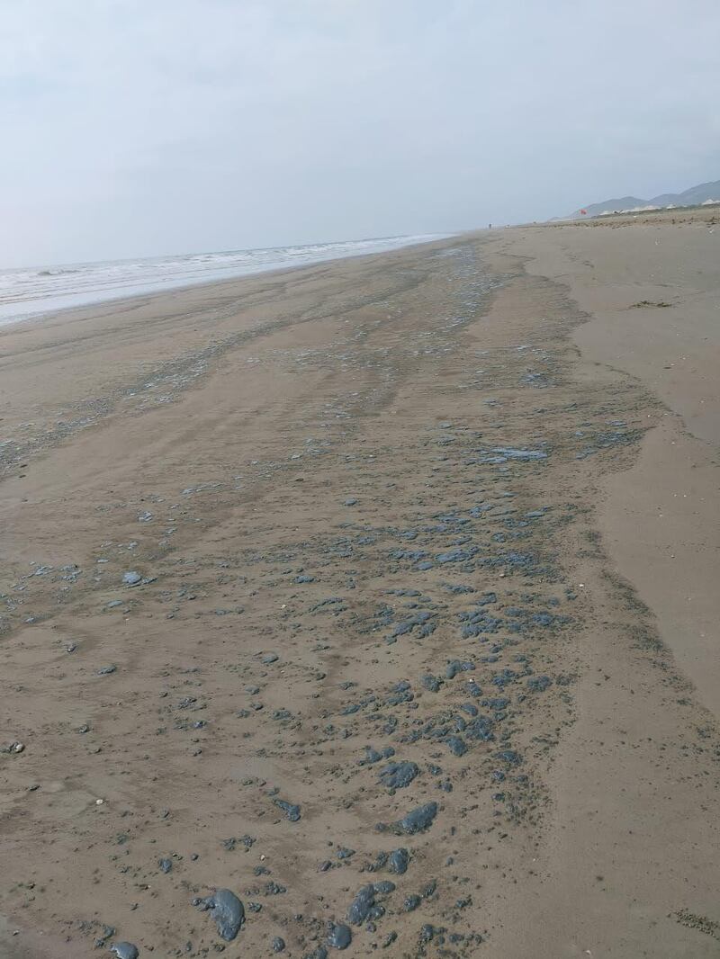 Oil spill in Kalba. Courtesy Sharjah Environment and Protected Areas Authority