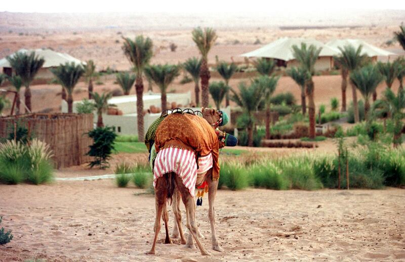Two camels stand guard outside Dubai's exclusive Al Maha Desert Resort in February 2000. AFP