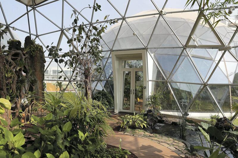DUBAI, UNITED ARAB EMIRATES , Nov 10  – 2019 :- Different type of plants inside the bio dome at the Arbor School in Al Furjan  in Dubai. ( Pawan Singh / The National )  For Weekend. Story by Katy Gillett