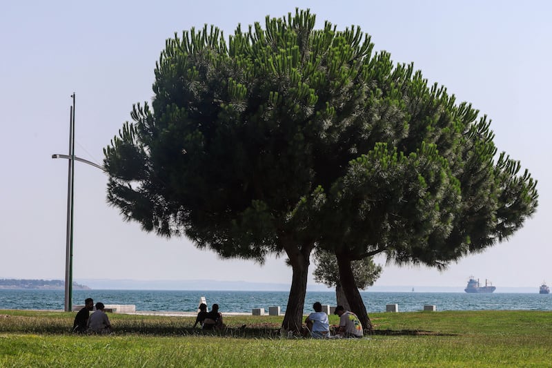 A tree provides shelter from the sun in Thessaloniki, Greece, where a four-day heatwave has led to temperatures of up to 44°C. EPA