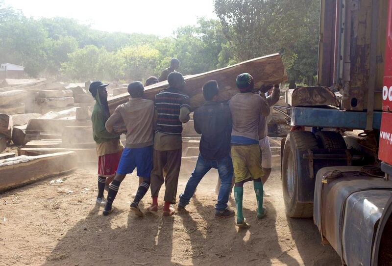 Workers load timber onto a container in Sintchan Companhe, Guinea. Forest products from Africa make up about 4 per cent of China’s total imports. Joe Penney / Reuters