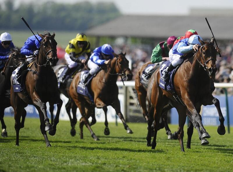 Miss France, right, ridden by Maxime Guyon won the English 1,000 Guineas ahead of Lightning Thunder and Ihtimal, left, at Newmarket racecourse on May 4, 2014, in Newmarket, England. Alan Crowhurst / Getty Images