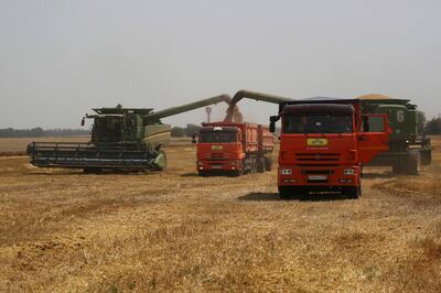 Farmers harvest with their combines in a wheat field near the village of Tbilisskaya in Russia. AP