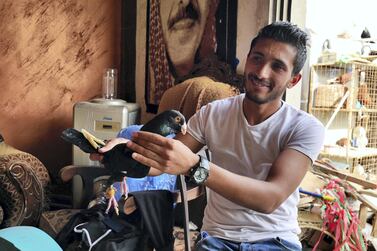 Zaid Al Moghrabi, 26, holds up the family's most valuable bird, worth 1,000 Jordanian dinars (Dh5,179). Charlie Faulkner for The National