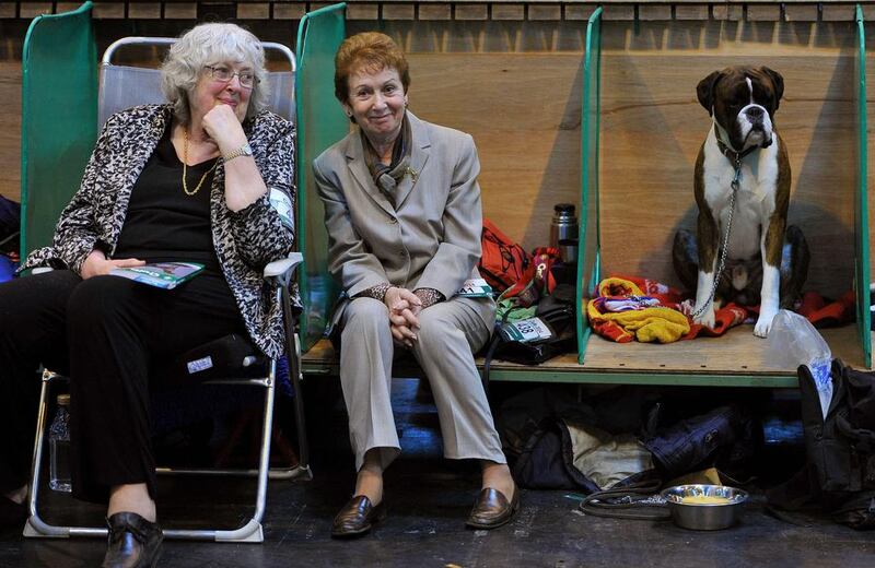 A Boxer dog sits with its owners. (Andrew Yates / AFP Photo / March 6, 2014)