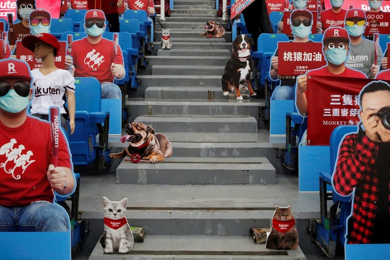 Cutouts replaced audiences at the first professional baseball league game of the season at Taoyuan International baseball stadium in Taoyuan city, Taiwan. Reuters