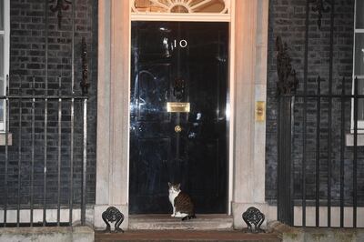 epa08925309 Apart from Larry the Cat, the door to 10 Downing Street, the official residence of the British Prime Minster, stands empty during the Clap for Heroes initiative in London, Britain, 07 January 2021. Clap for Carers, an initiative for members of the public to applaud National Health Service (NHS) workers, has returned under a new name of Clap for Heroes. The weekly applause founded by Annemarie Plas for front-line NHS staff and other key workers ran for ten weeks during the UK's first coronavirus lockdown spring 2020. Plas later distanced herself from the new initiative.  EPA/NEIL HALL