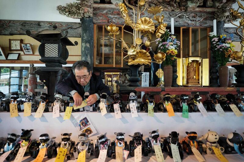 A man organises Sony's pet robot AIBOs on an altar prior to holding the robots' funeral at the Kofukuji temple in Isumi, Chiba, Japan, on April 26, 2018. Nicolas Datiche / AFP Photo