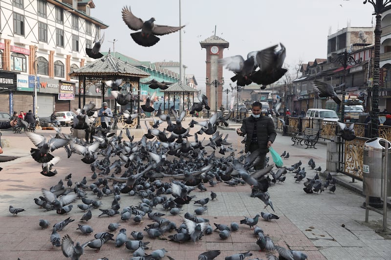 A man feed pigeons outside a closed market during lockdown in Srinagar, the summer capital of Indian Kashmir. Coronavirus cases have soared in the region, prompting the government to ban non-essential movement at weekends in Jammu and Kashmir state. EPA