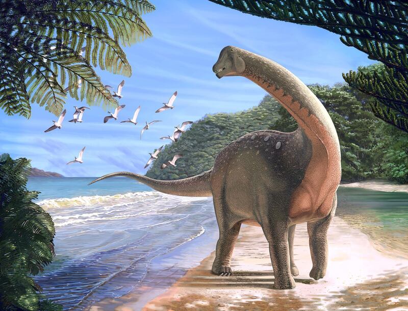 Artist's life reconstruction of the titanosaurian dinosaur Mansourasaurus shahinae on a coastline in what is now the Western Desert of Egypt approximately 80 million years ago is pictured in this undated handout image obtained by Reuters on January 29, 2018.   Andrew McAfee/Carnegie Museum of Natural History/Handout via REUTERS  ATTENTION EDITORS - THIS IMAGE WAS PROVIDED BY A THIRD PARTY.  NO RESALES. NO ARCHIVE. NO SALES     TPX IMAGES OF THE DAY