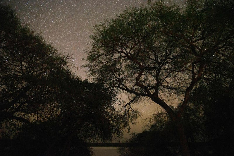 This slow shutter speed exposure shows stars above the Dinder river in the Ibn Amer area of Dinder National Park. AFP