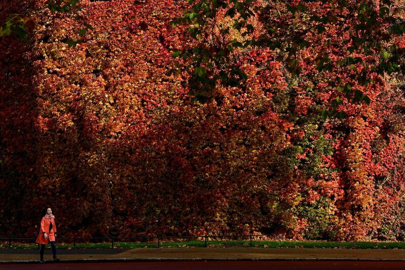 A woman walks past autumn foliage in London. Reuters