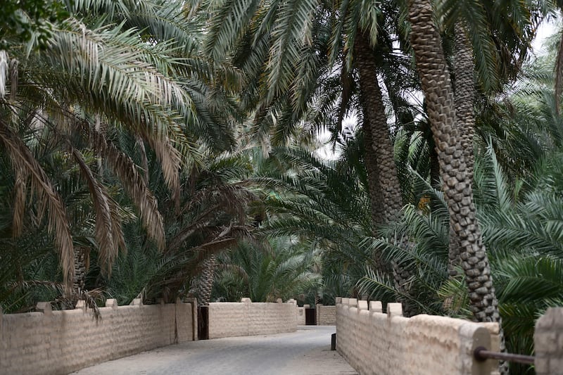 Al Ain Oasis stretches more than 1,200 hectares. Khushnum Bhandari / The National

