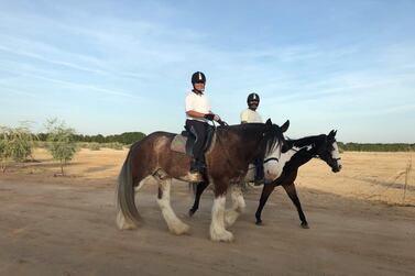 Equine therapy at Al Marmoom Initiative in Dubai. 