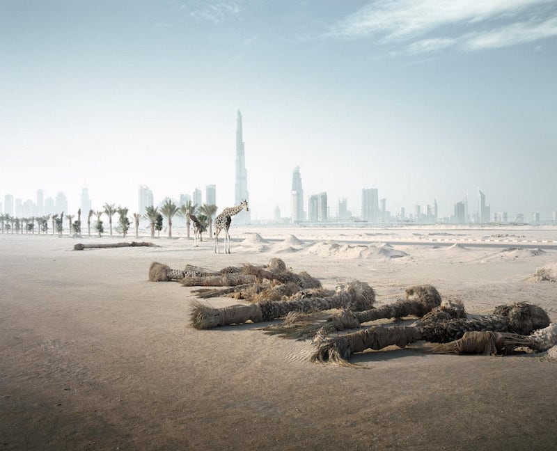 Photographer Richard Allenby-Pratt imagines a Dubai when all the humans have fled and only the animals are left. Courtesy Warehouse421