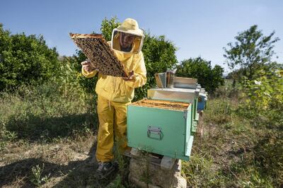Take tourists to visit the local beekeeper. Courtesy Airbnb
