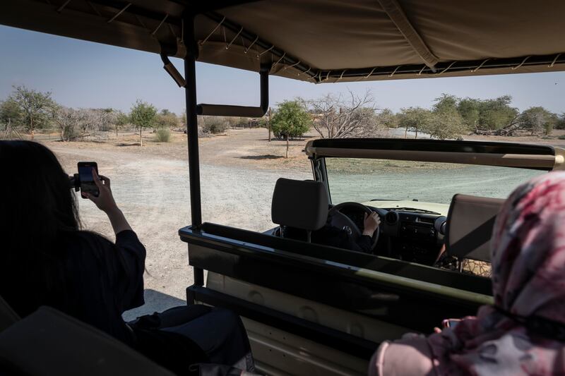 More than 1,000 native and African trees, including the umbrella-shaped Acacia tortilis, have been planted across the site.