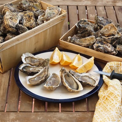 Oysters from Maison Duffour