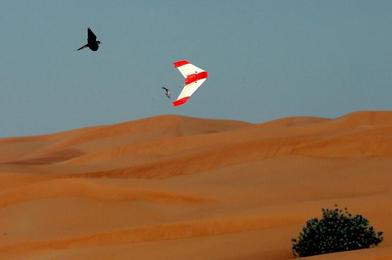 Peter Bergh hopes the 1,200 gramme bird-like device will be adopted by mainstream falconry. Satish Kumar / The National 