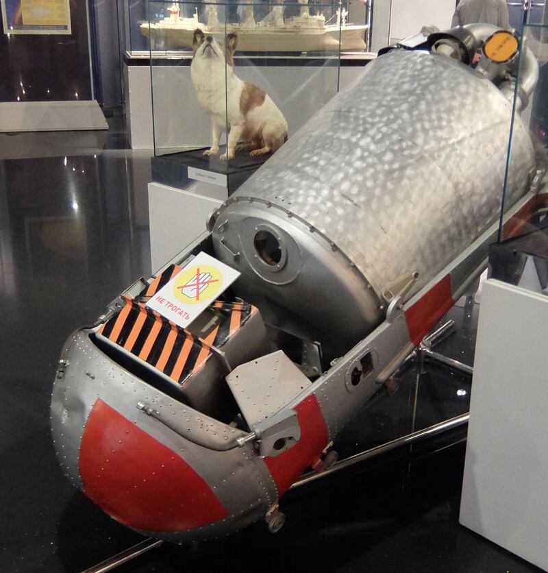 2A26075 Korabl-Sputnik 2 (Sputnik 5) on board which, Dogs Belka and Strelka, spent a day in space, on 19 August 1960 before safely returning to Earth. They were accompanied by a grey rabbit, 42 mice, two rats, flies and several plants and fungi. All passengers survived. They were the first Earth-born creatures to go into orbit and return alive. Alamy