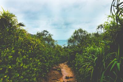 The Seychelles has embarked on an aggressive vaccination drive. Courtesy Dan Maisey / Unsplash