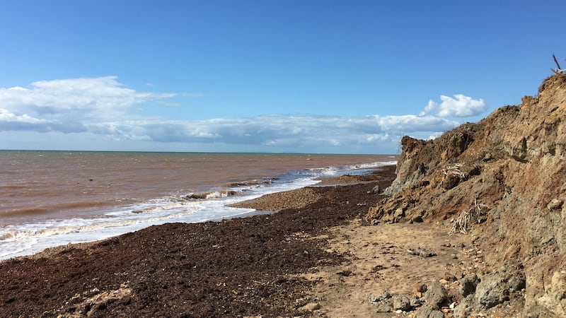 Early Cretaceous rocks on the Isle of Wight reveal the areas was once a floodplain with a Mediterranean-like climate.