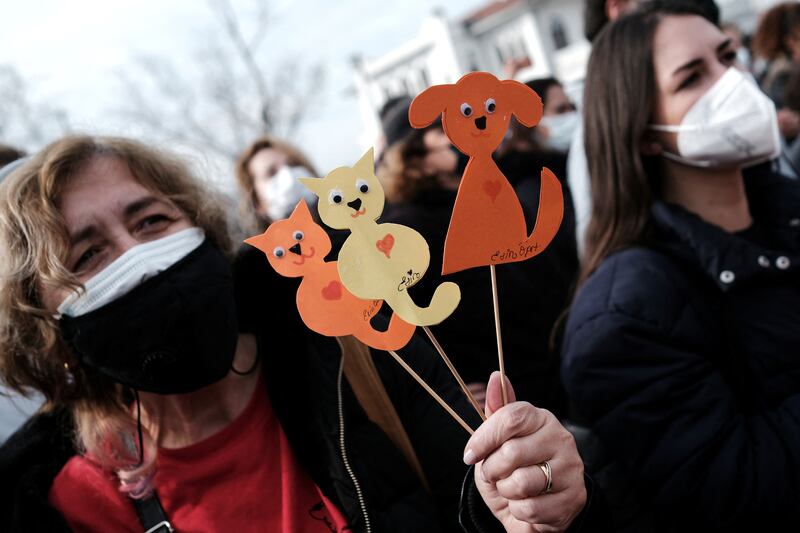 Activists demand protection for stray dogs and cats. Reuters