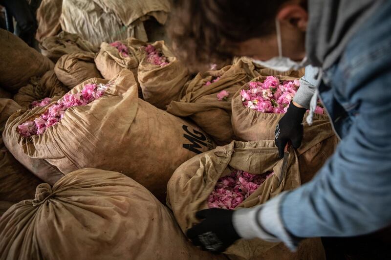Demand for Turkey's rose products remains high. Getty Images