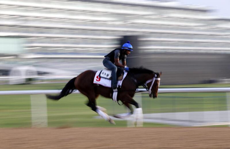 A picture taken with a slow shutter speed shows a jockey riding Mshawish, a racehorse from the USA trained by Todd Pletcher on the track at the Meydan Racecourse during preparations for the Dubai World Cup 2016 in Dubai, United Arab Emirates, 23 March 2016. The 21st edition of the Dubai World Cup will take place on 26 March 2016.  EPA/ALI HAIDER