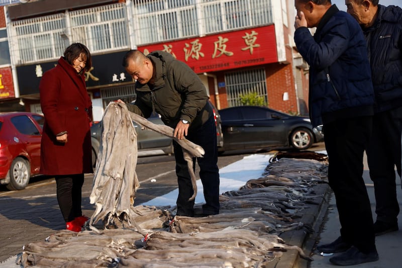 A man looks at mink furs at an open air market in Li county, Hebei province, China. Reuters