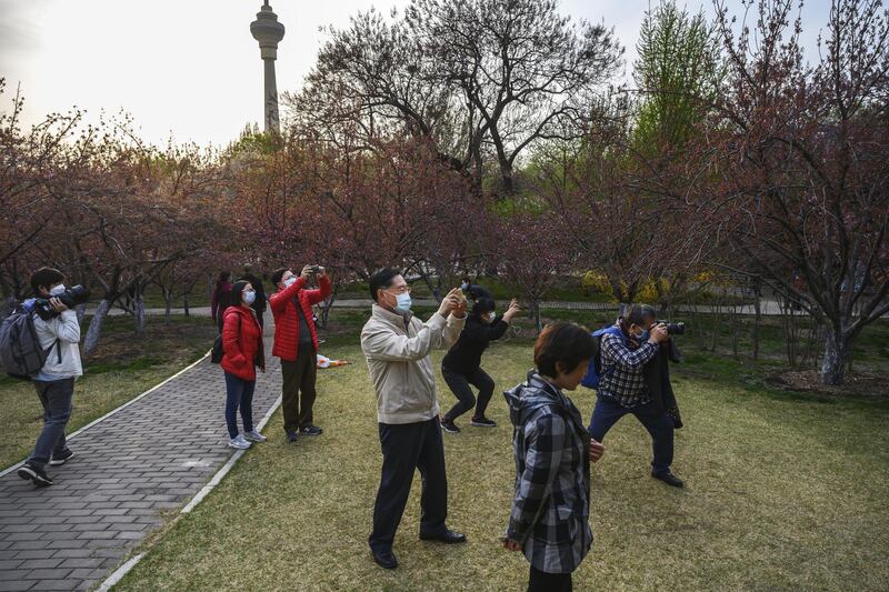 People wear protective masks as they take photos of blossoms while enjoying the spring weather at a park in Beijing, China. Getty Images