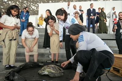 School children at Louvre Abu Dhabi's rehabilitation lagoon for rescued sea turtles. Khushnum Bhandari / The National