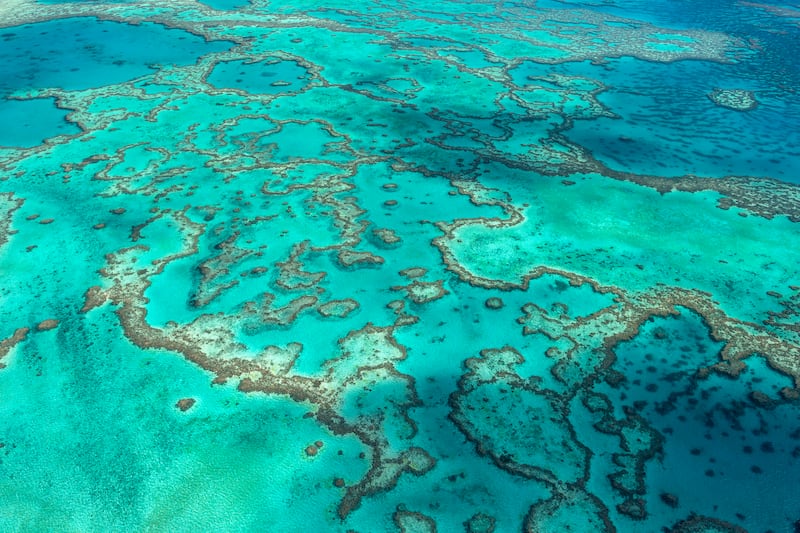 Hardy Reef, part of the Great Barrier Reef, as seen from the air. Australia has managed to convince Unesco not to downgrade the Great Barrier Reef's World Heritage status. Great Barrier Reef Marine Park Authority