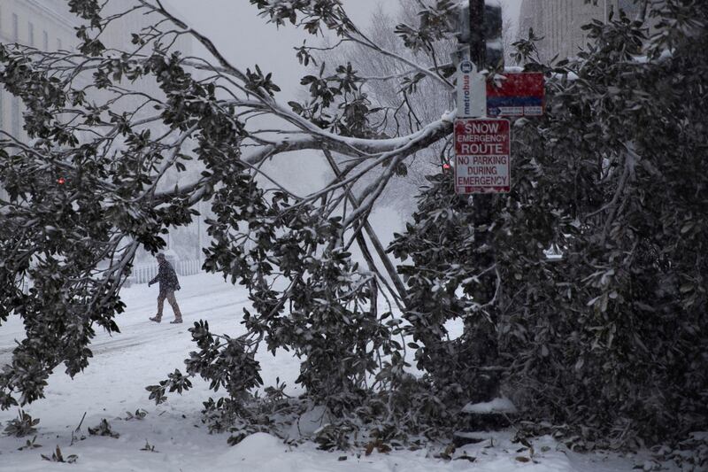 A visitor crosses Independence Avenue behind a fallen tree during a snowstorm in Washington. Reuters