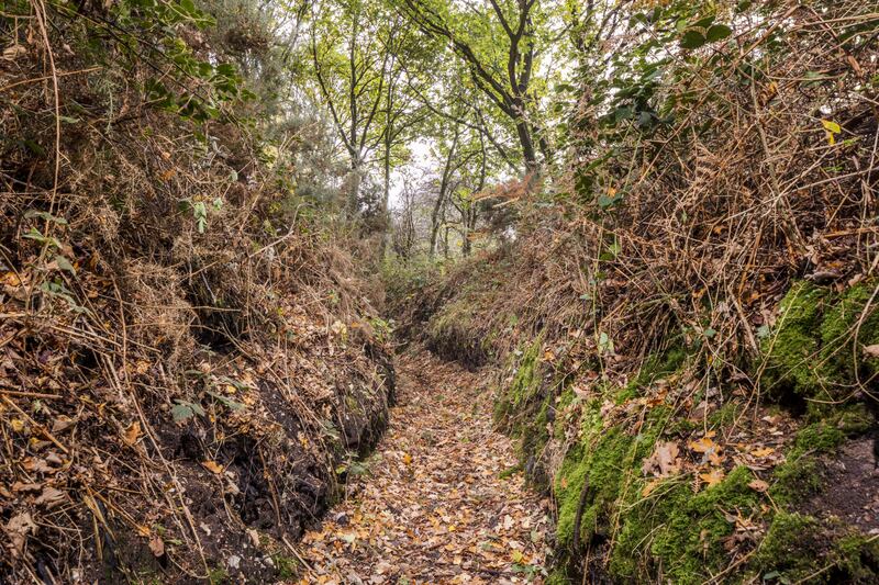 The Lovat Scout's First World War training trench network in Docking, Norfolk, which is one of among 240 sites that have been added to the National Heritage List for England. PA